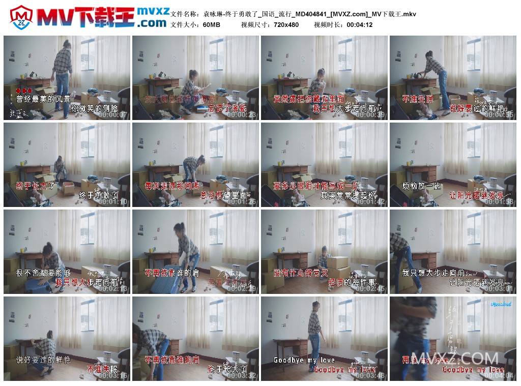 袁咏琳-终于勇敢了_国语_流行_MD404841